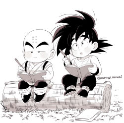 kuririn from dragon ball