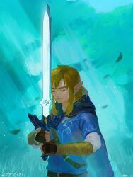 link from the legend of zelda by ayumi (830890)