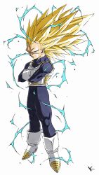 vegeta from dragon ball by kakeru (dbskakeru)