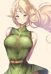 deedlit from record of lodoss war by untsue