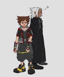 sora (kingdom hearts) from kingdom hearts