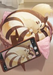 furret from pokemon