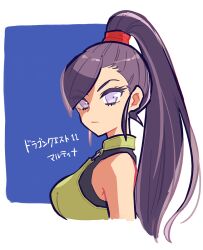martina (dq11) from dragon quest by mayuzumi