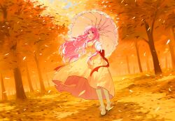 nikki (nikki) from nikki (series)