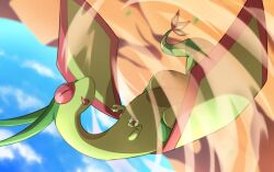 flygon from pokemon