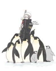 trafalgar law from one piece