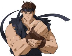 evil ryu from street fighter by bengus