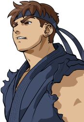 evil ryu from street fighter by bengus