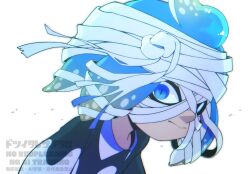 inkling from splatoon (series)