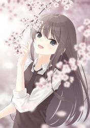 sakura no uta fan art