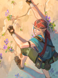 link from the legend of zelda