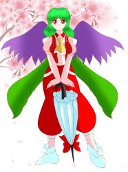 kazami yuuka from seihou