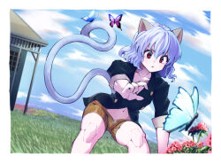 neferpitou from hunter x hunter