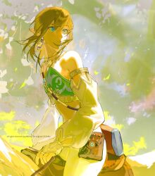 link from the legend of zelda