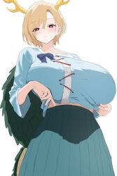 kicchou yachie from touhou