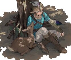 link from the legend of zelda