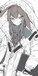 amiya (arknights) from arknights