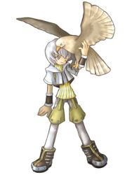 hunter (ragnarok online) from ragnarok online