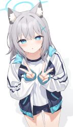 shiroko (blue archive) from blue archive