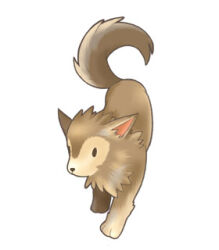 desert wolf (ragnarok online) from ragnarok online