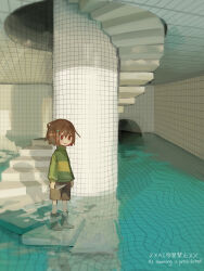 chara (undertale) from backrooms (creepypasta) by dande lion2604