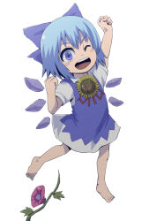 cirno from hidden star in four seasons by hanemikakko
