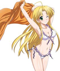 asia argento from high school dxd