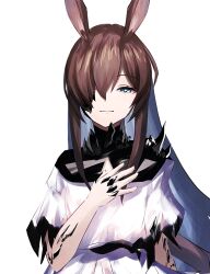 amiya (arknights) from arknights