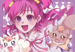coco (yes! precure 5) from precure
