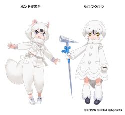 tanuki (kemono friends) from kemono friends