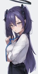 yuuka (blue archive) from blue archive