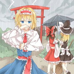 alice margatroid from touhou by meng ziya
