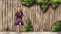 mizuhashi parsee from touhou