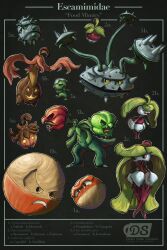 bounsweet from pokemon