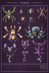 araquanid from pokemon
