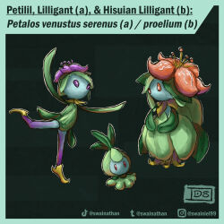 hisuian lilligant from pokemon