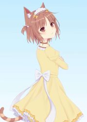 azuki (nekopara) from nekopara