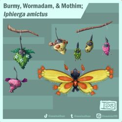 burmy from pokemon