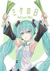 hatsune miku from vocaloid