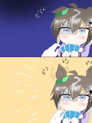 umamusume fan art