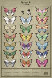 scatterbug from pokemon