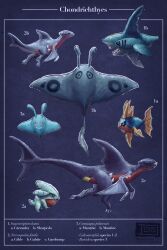 carvanha from pokemon