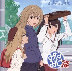 minami chiaki from minami-ke