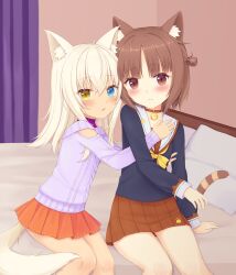 azuki (nekopara) from nekopara