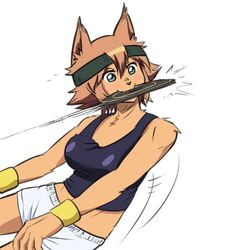 polt from monster musume no iru nichijou