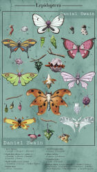 beautifly from pokemon