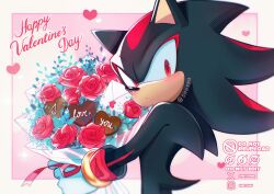 shadow the hedgehog from sonic (series)
