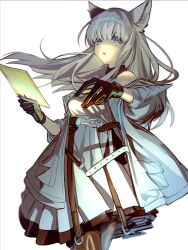 perlica (arknights) from arknights