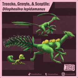 grovyle from pokemon