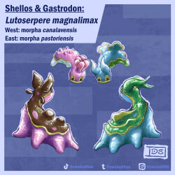 gastrodon from pokemon